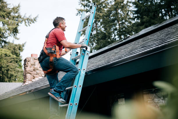 Best Skylight Installation and Repair  in Piney Green, NC